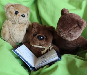 Biblio-bébés